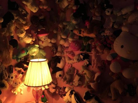 Spotlight: Annie Liu