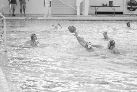 Water Polo paddles to the win