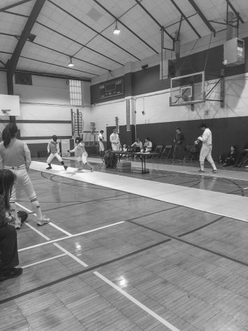Lions Den Update: Fencing