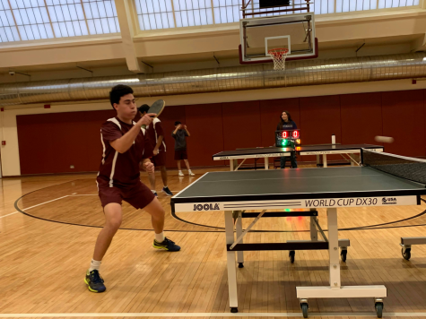 Table Tennis Team triumphs