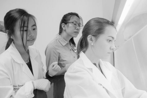 HM alumni admitted to exclusive Mount Sinai program