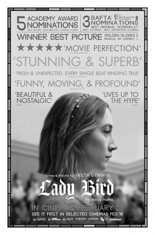 Lady Bird Grows Up