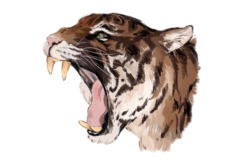 TV series to binge during quarantine: Tiger King