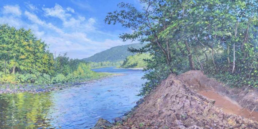 Dos Light of Air and Summer exhibition opens at Blue Mountain Gallery