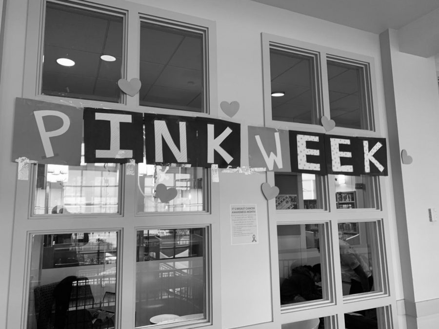 Pink-Out%3A+CAC+hosts+Pink+Week+to+raise+awareness