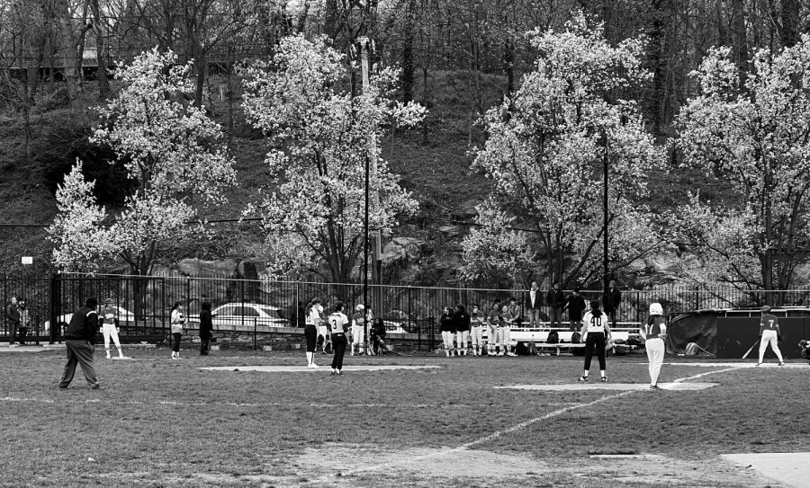 Girls Varsity Softball wins two games, setting them on the path for NYSAIS