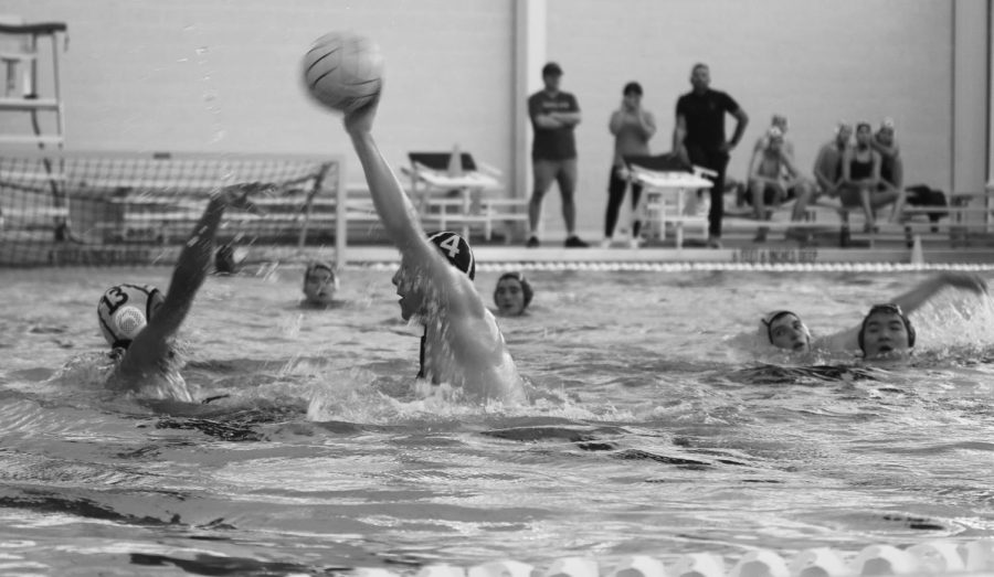 Varsity Water Polo wins Invitational against Fieldston